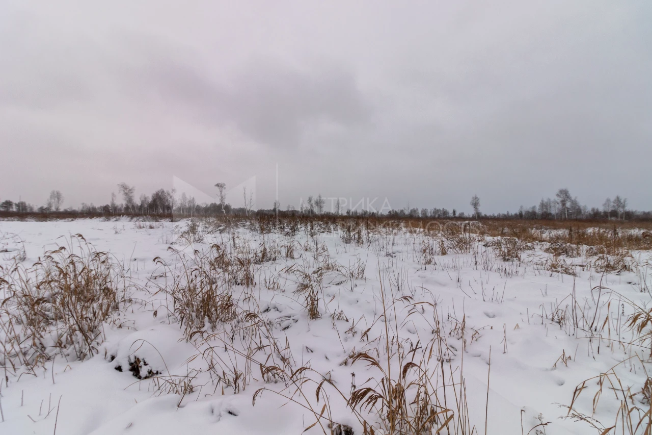 Объект недвижимости фотография 1562296
