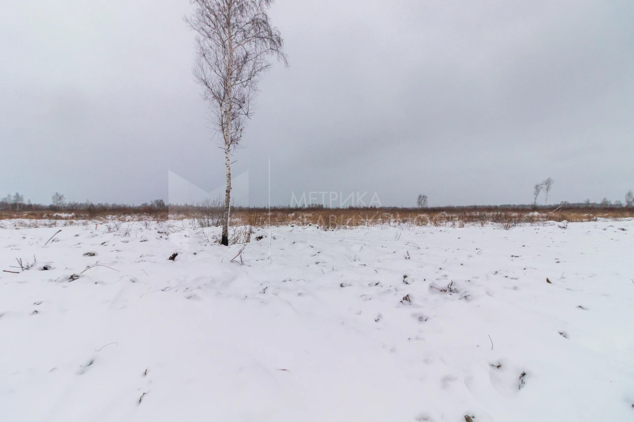 Объект недвижимости фотография 1562100