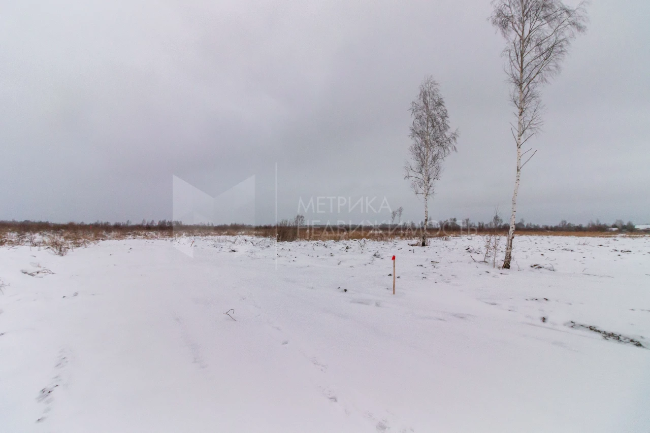 Объект недвижимости фотография 1562101