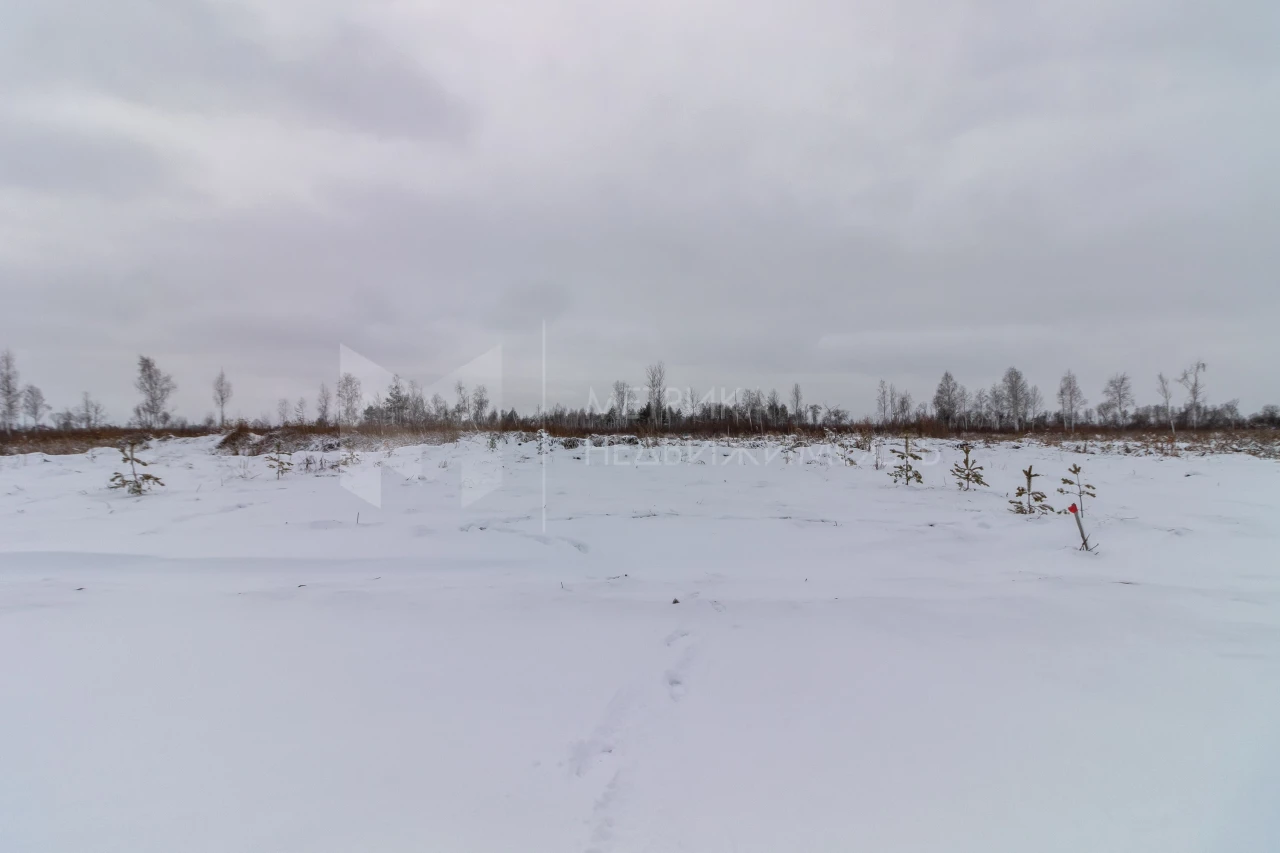 Объект недвижимости фотография 1561923