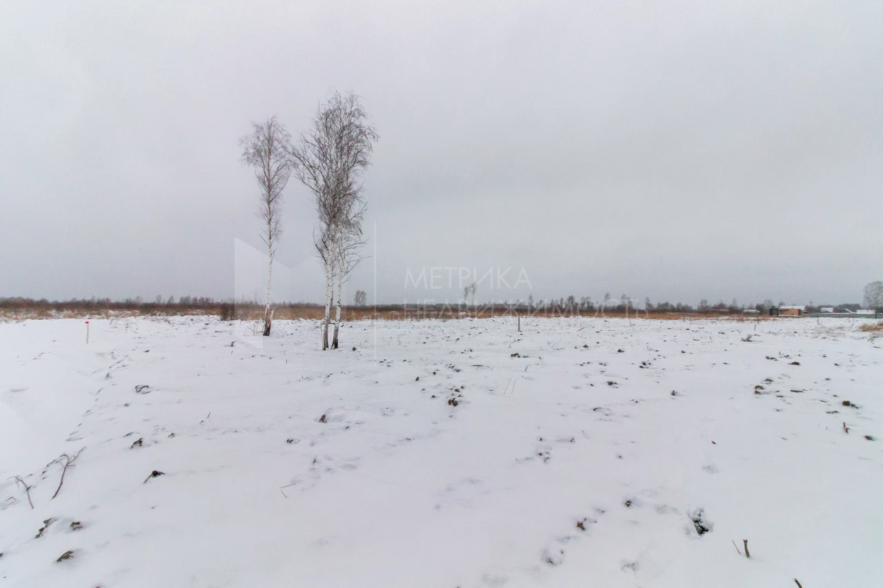 Объект недвижимости фотография 1561969