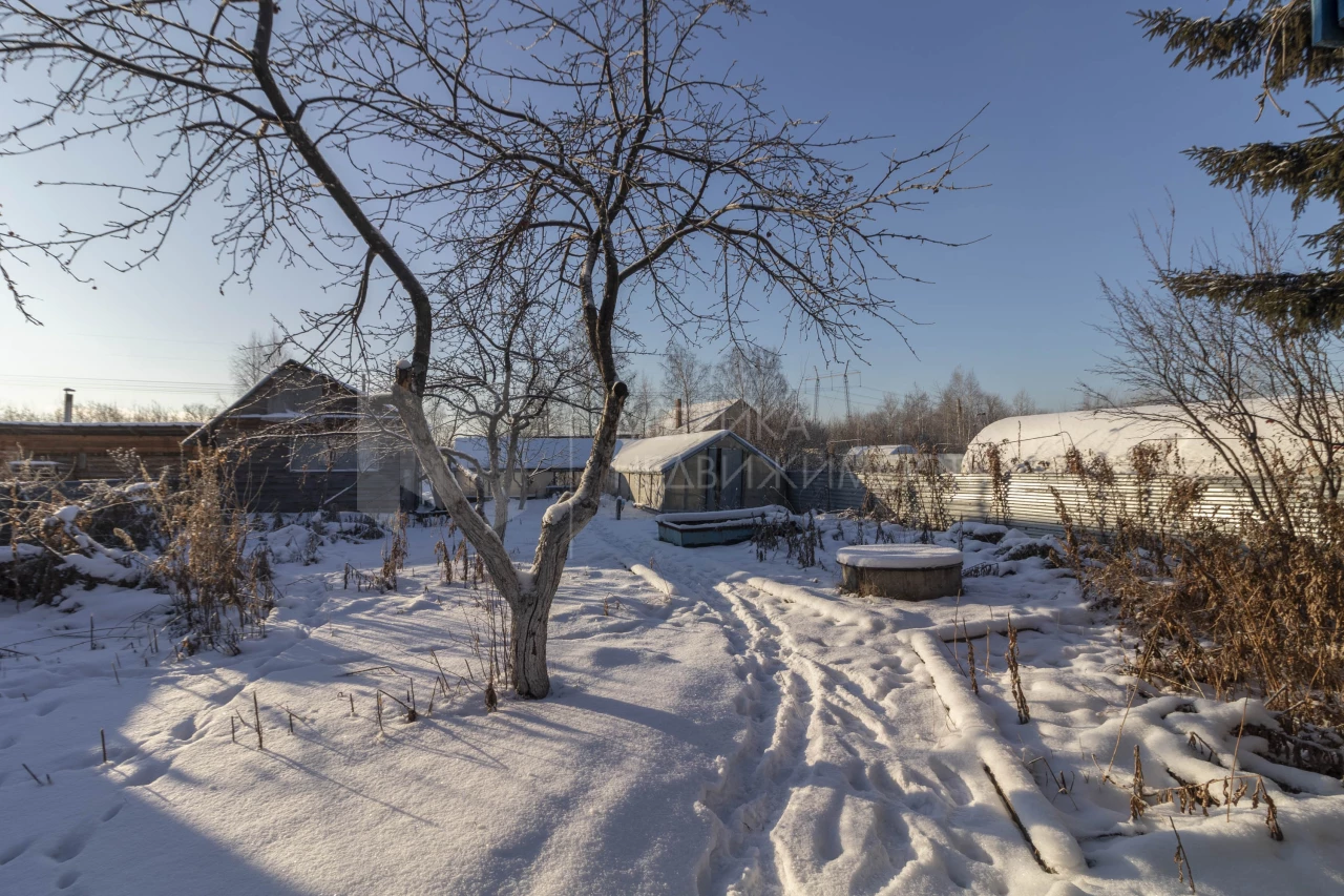 Объект недвижимости фотография 1596893