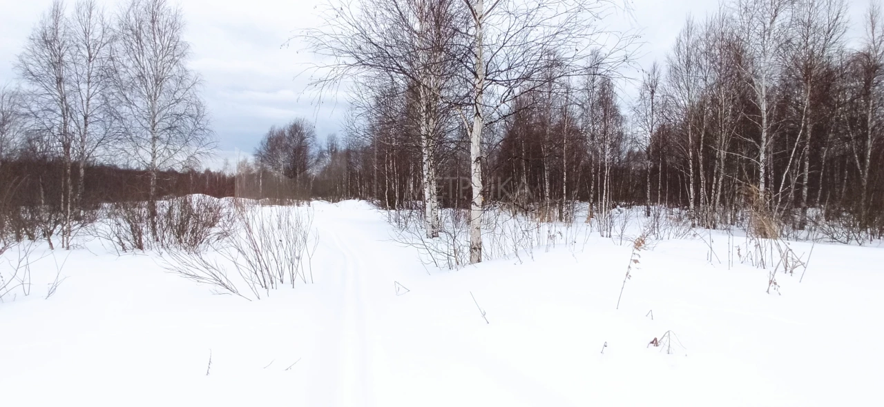Объект недвижимости фотография 1738374
