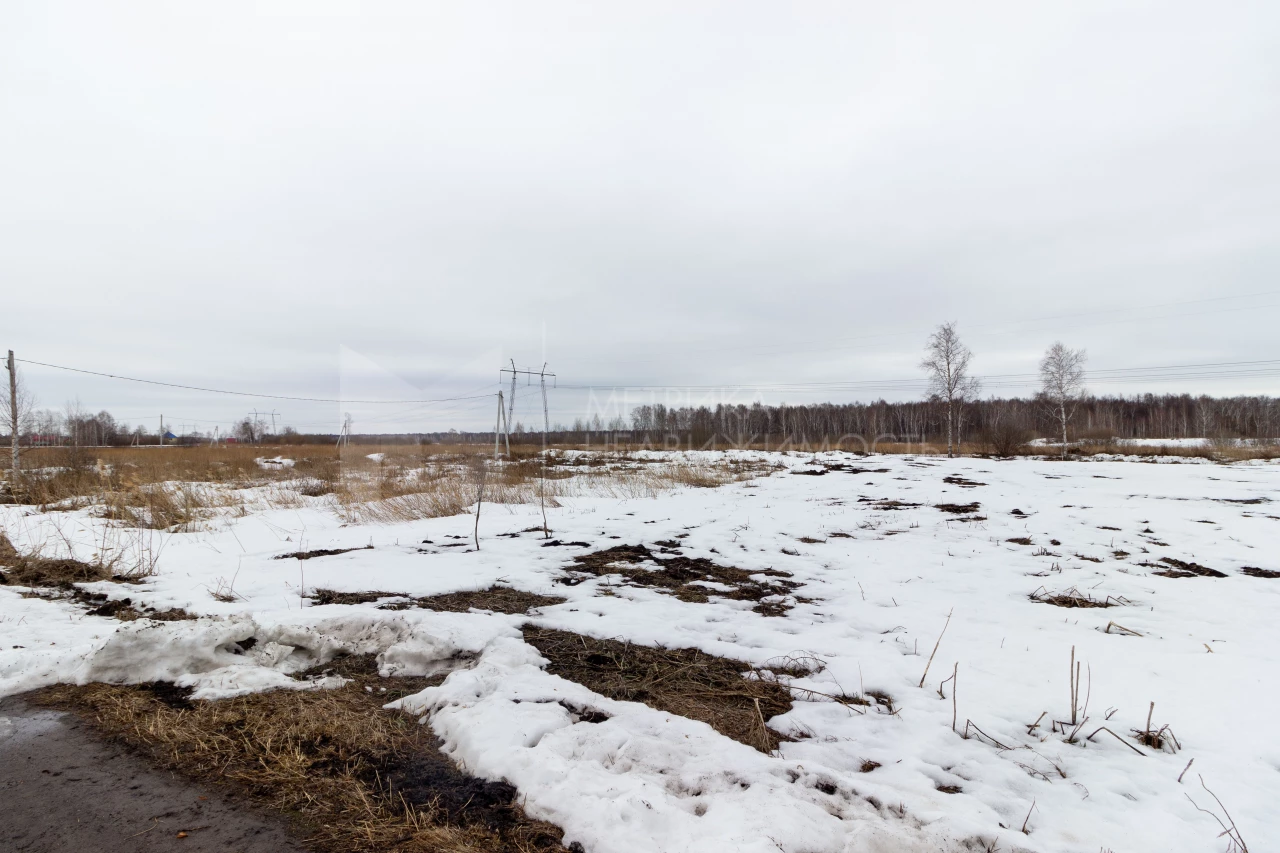 Объект недвижимости фотография 1773066