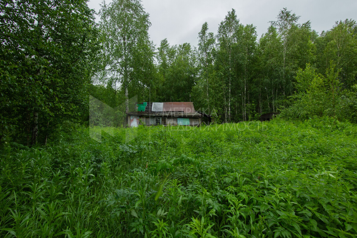 Загородная недвижимость Велижанский тракт в Тюмени: продажа загородной  недвижимости