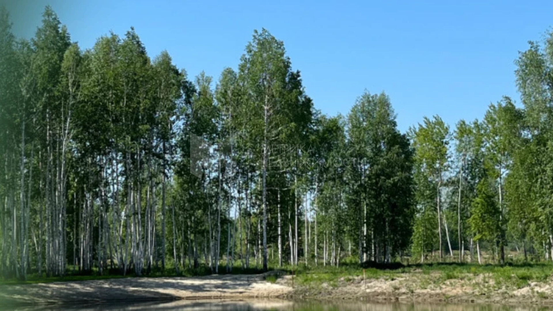 Коттеджный поселок фотография 9438787